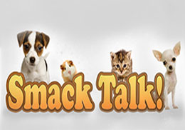 Игра SmackTalk! скачать бесплатно для Андроид. Скачать бесплатно Говорящий хомяк на Android Игра SmackTalk! скачать бесплатно для Андроид. Скачать бесплатно Говорящий хомяк на Android